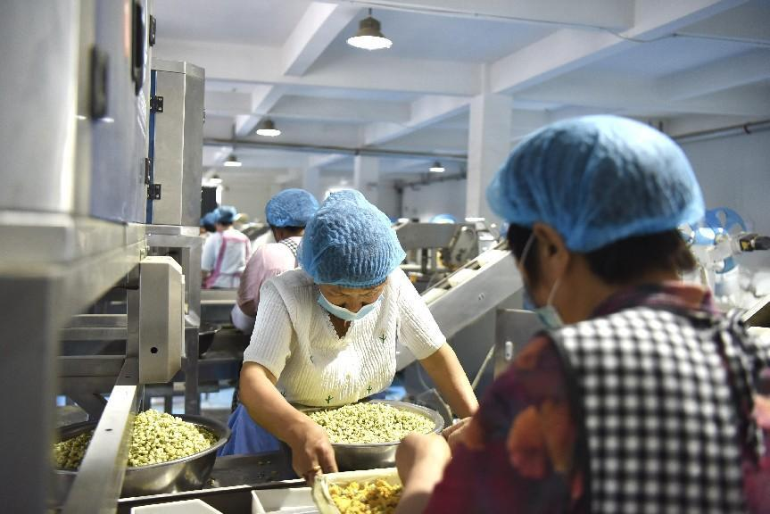 供给”实验或成产业带最优解题思路不朽情缘平台登录入口拼多多“新质(图7)