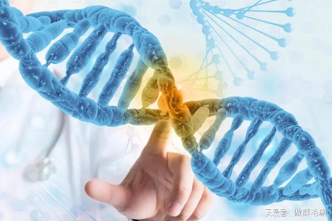 “刷” 出生物医药领域洁净新高度不朽情缘MG傲群医疗器械清洁